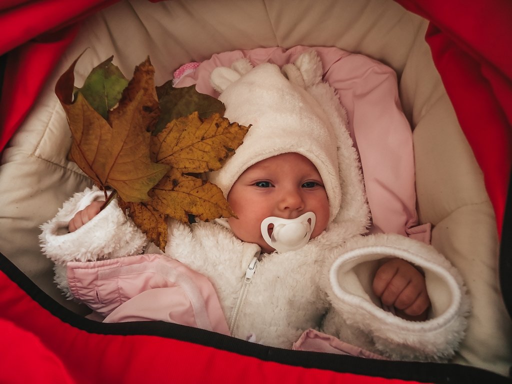 Baby bundled in a fuzzy white suit holding autumn leaves, lying in a stroller with a pacifier, enjoying a safe and warm outdoor moment in Canada during fall.